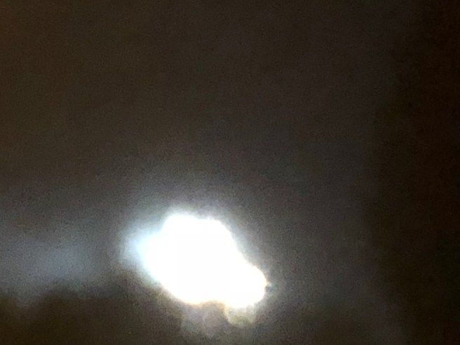 251C2DE8-D10D-4417-8A7B-45306EFBEC06