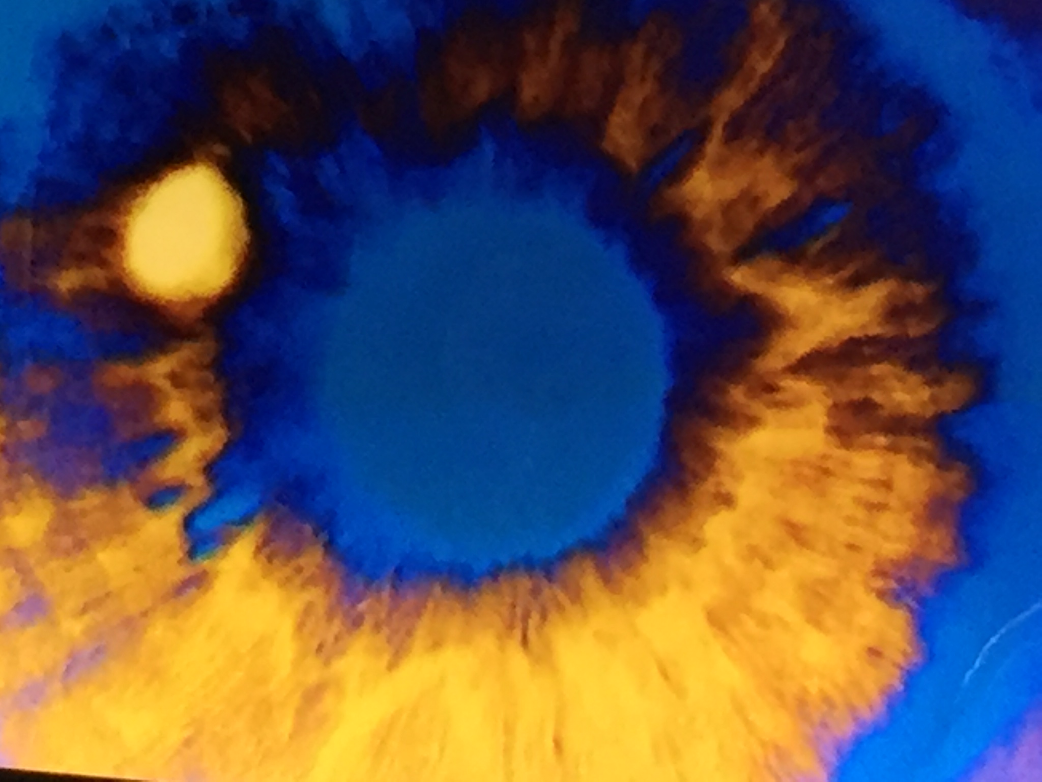 50EE96ED-7A84-400B-9D30-B72453579782