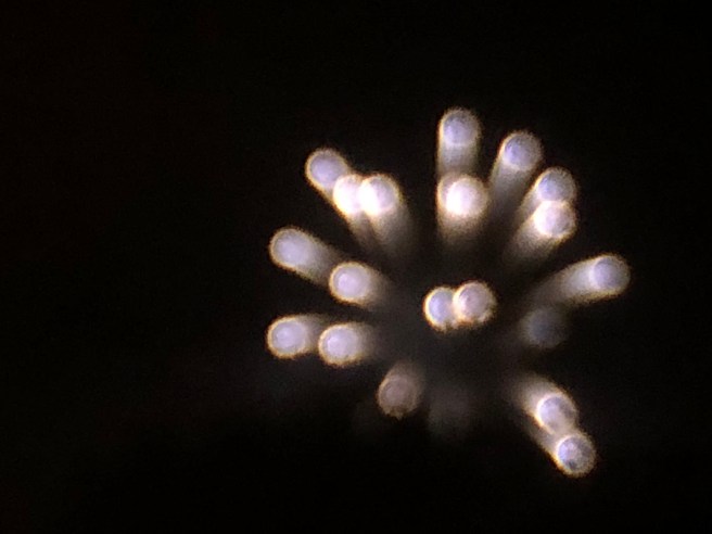 90D0BD17-638F-43E3-B33D-98814E24F752