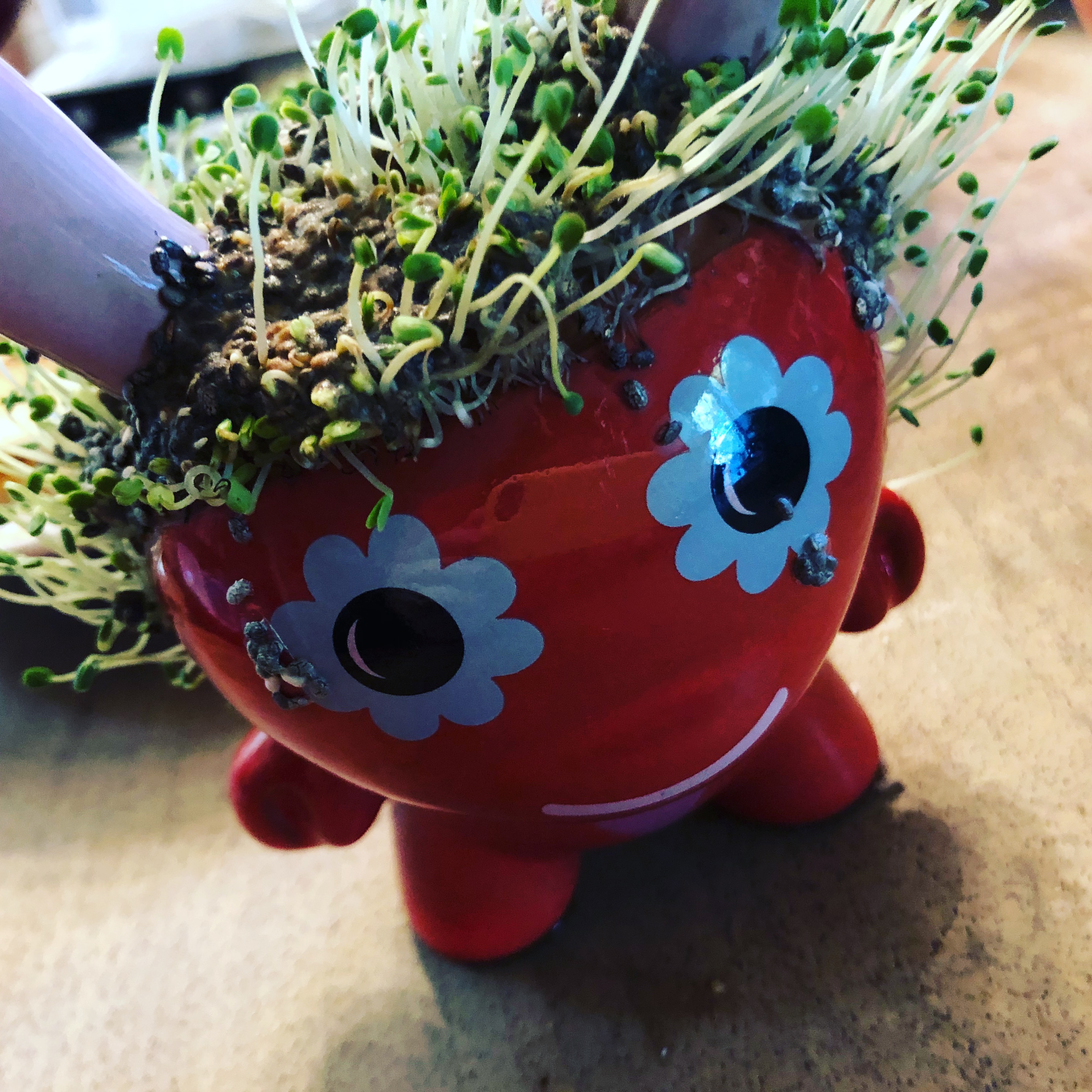 10877CC7-0334-44EB-946E-EB9F92A2EB62