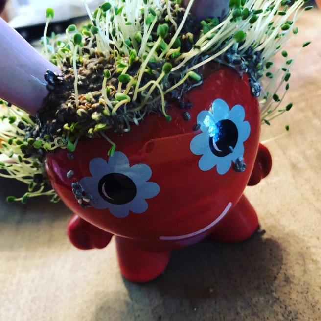 10877CC7-0334-44EB-946E-EB9F92A2EB62